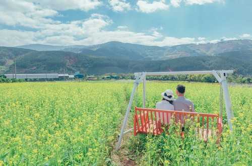 仙人球放卧室好吗 仙人球放卧室好不好