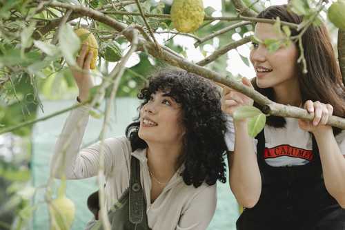 入春后油菜必须要做好哪些管理工作措施 油菜开春怎么管理