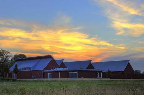 同薯23号马铃薯品种好不好