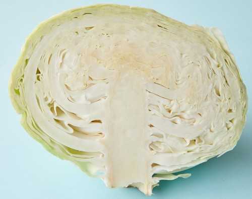 什么时候剪杨树枝是最好的 杨树剪枝应该在哪个季节
