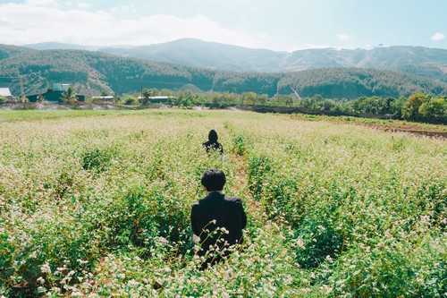 冰糖橙种植密度 冰糖橙种植技术与管理