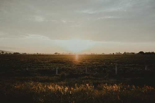 冬季对棚菜施药需掌握哪些技巧呢 冬季对棚菜施药需掌握哪些技巧