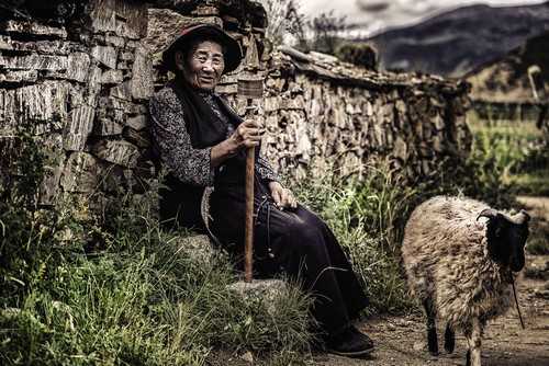 兰花上的介壳虫怎么根除 兰草花介壳虫怎么治