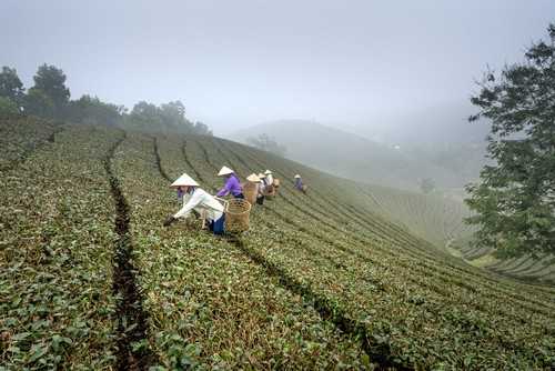 传统植保与无人机植保的优缺点 植保无人机主要有