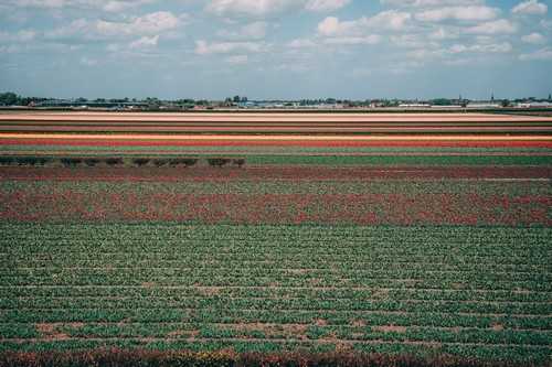 吃紫甘蓝不能吃什么 冬天要多吃紫甘蓝嘛
