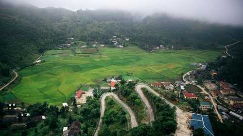 光辉苹果品种介绍 果光苹果产地哪里好