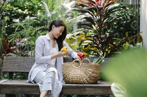 什么样的植物好养