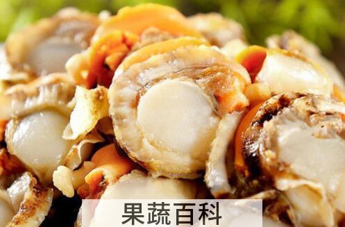 扇贝肉的内脏怎么处理