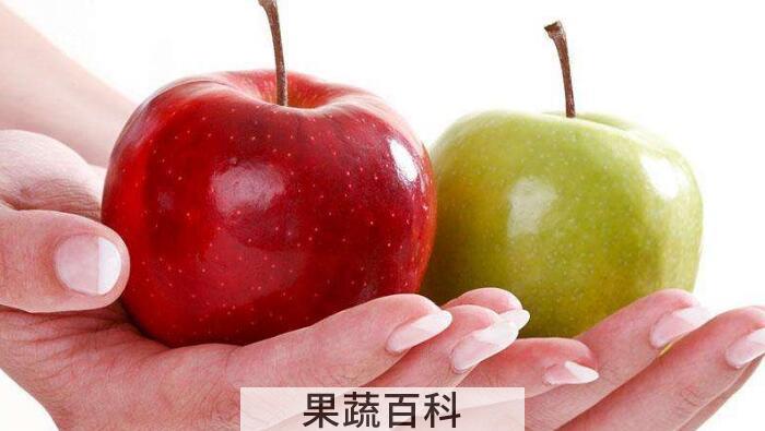 苹果的功效有哪些？苹果对人体好处多多坚持每天吃一个