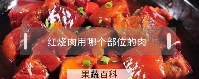 红烧肉用哪个部位的肉