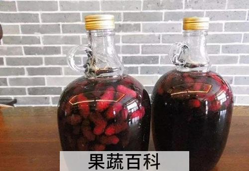 桑果泡酒喝的功效作用 喝桑果泡酒的好处