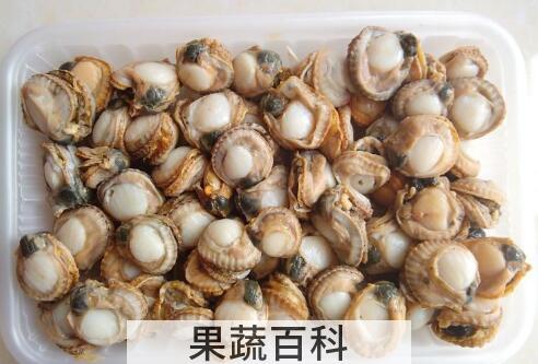 扇贝肉的内脏怎么处理
