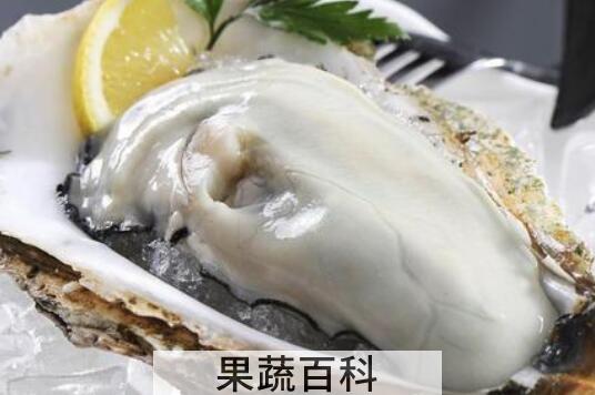牡蛎和生蚝的区别