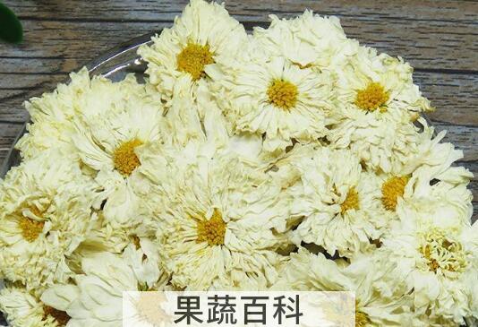 黄山贡菊的功效与作用及禁忌