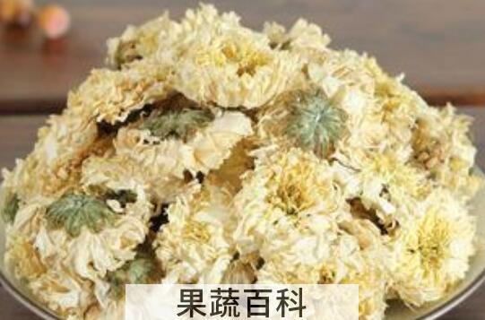 黄山贡菊的功效与作用及禁忌