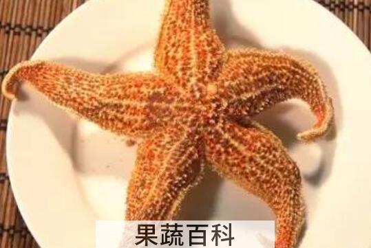 海星的功效与作用 海星的食用方法