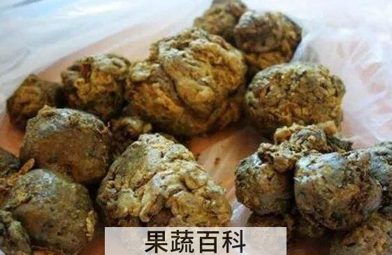 蜂胶的作用与功效