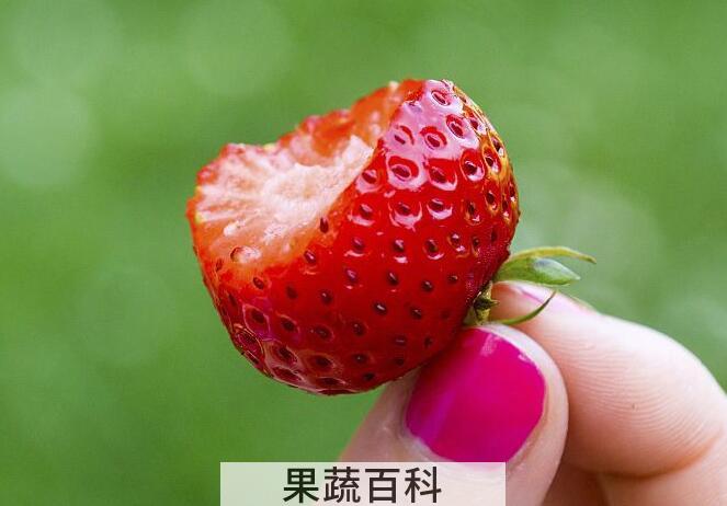 草莓属于凉性还是热性 脾虚胃弱者要少吃