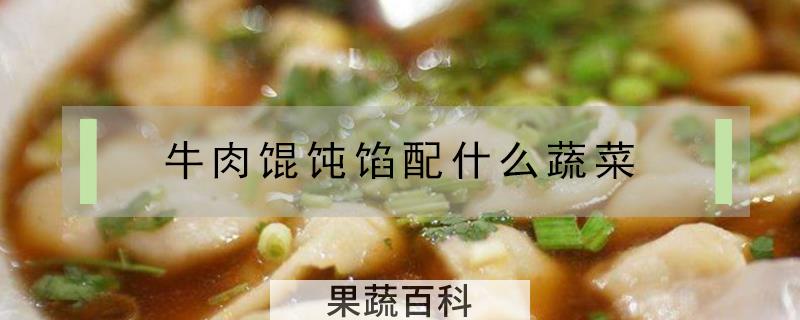 牛肉馄饨馅配什么蔬菜