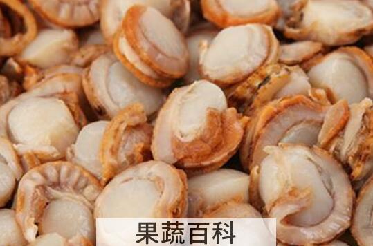 扇贝肉怎么清理 扇贝如何处理干净