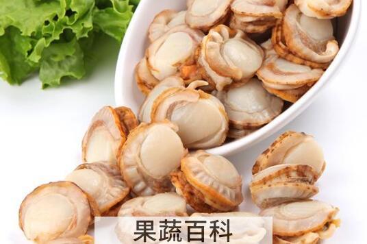 扇贝肉怎么清理 扇贝如何处理干净