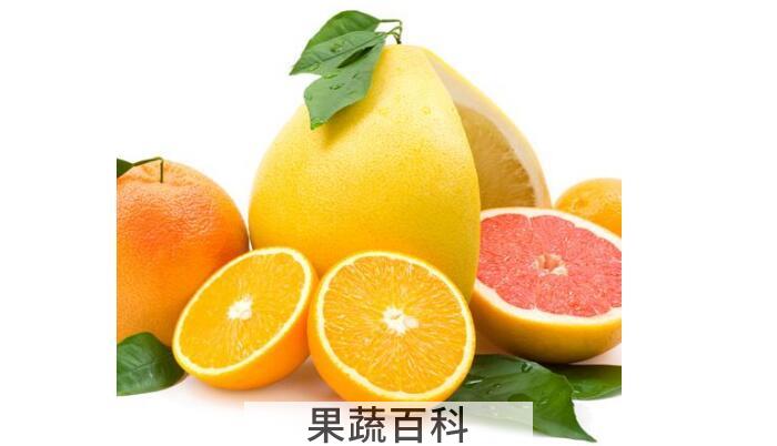 糖尿病能吃什么水果，吃这几种水果帮助人体控制血糖