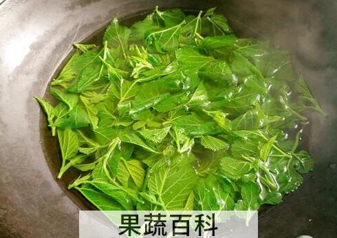 香椿叶煮水的功效与作用