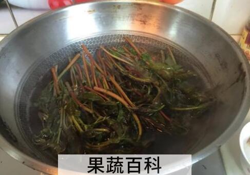 香椿叶煮水的功效与作用