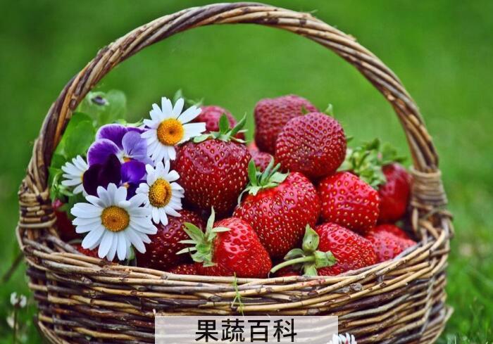 草莓不能和什么一起吃，这几个饮食指南大家需牢记