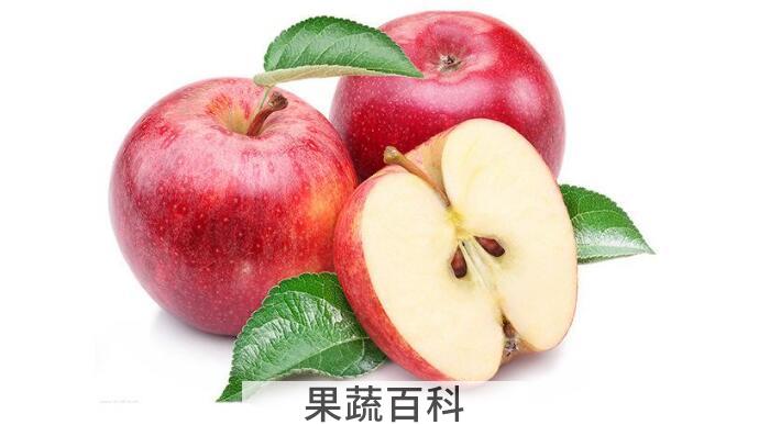 吃苹果有哪些禁忌，牢记四个要点才能够吃出健康身体