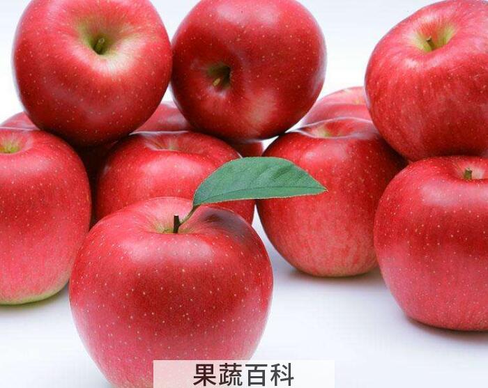 吃苹果有哪些禁忌，牢记四个要点才能够吃出健康身体