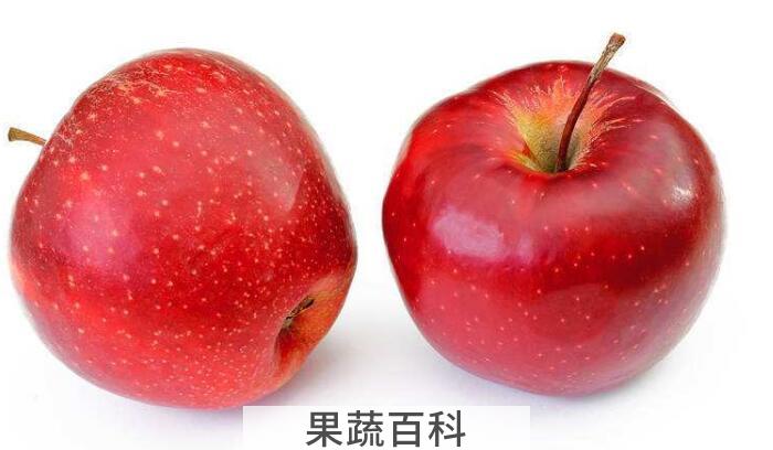 吃苹果有哪些禁忌，牢记四个要点才能够吃出健康身体