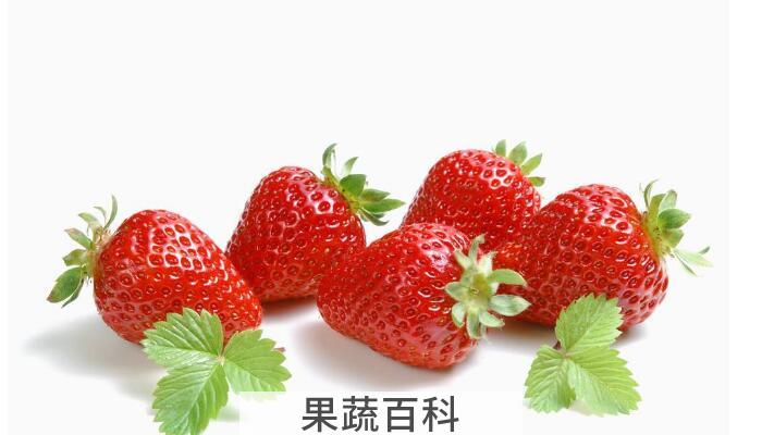 吃草莓有什么好处，三个方面带你深入了解草莓