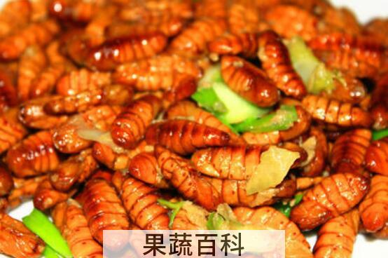 蚕蛹的营养价值与食用功效