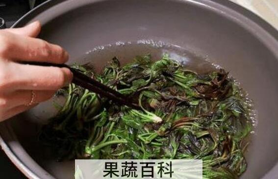 老香椿叶泡水喝的功效