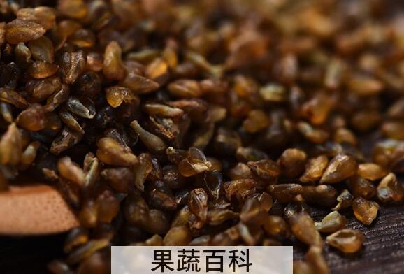 黑苦荞米的作用与功效