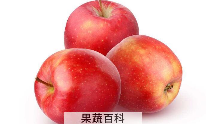 苹果选果相关知识，教你如何一眼看新鲜的苹果？