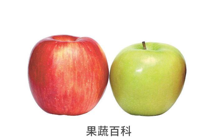 苹果选果相关知识，教你如何一眼看新鲜的苹果？