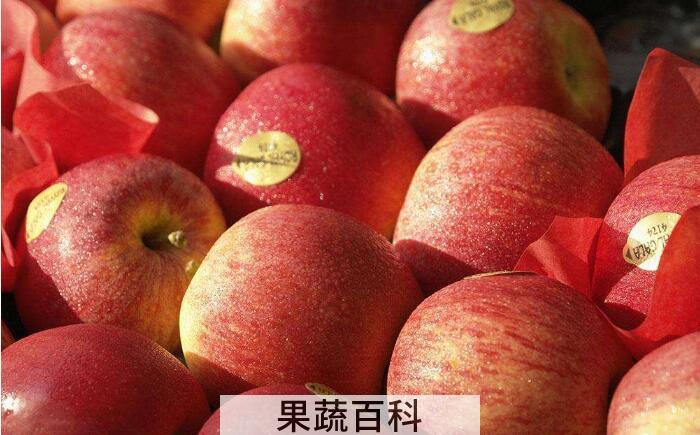 苹果选果相关知识，教你如何一眼看新鲜的苹果？