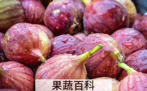 无花果怎么吃 无花果的吃法技巧教程