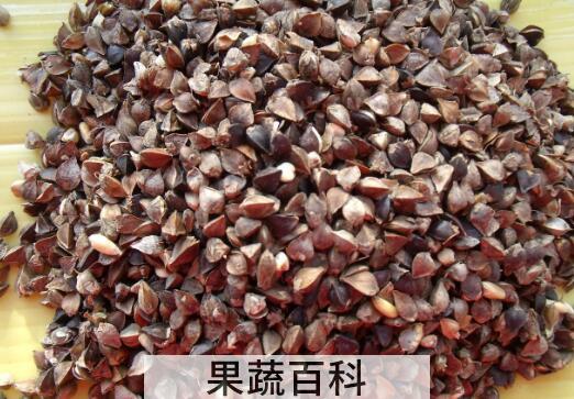 黑荞麦和白荞麦的区别