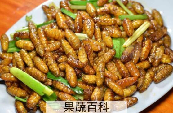 男性吃蚕蛹的好处