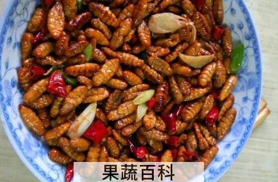 金丝蛹和蚕蛹的区别 吃金丝蛹的好处