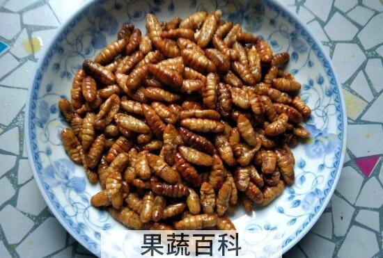金丝蛹和蚕蛹的区别 吃金丝蛹的好处