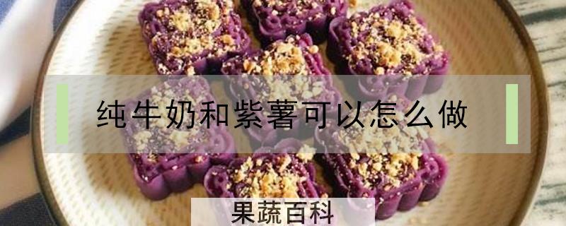 纯牛奶和紫薯可以怎么做