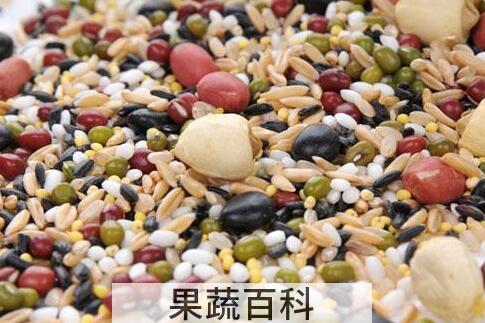 十谷米怎么煮米饭 十谷米怎么煮好吃