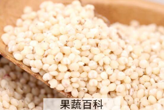 高粱米的功效与作用 高粱米怎么吃