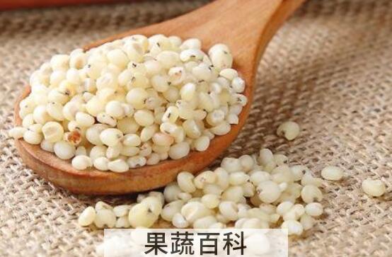 高粱米的功效与作用 高粱米怎么吃