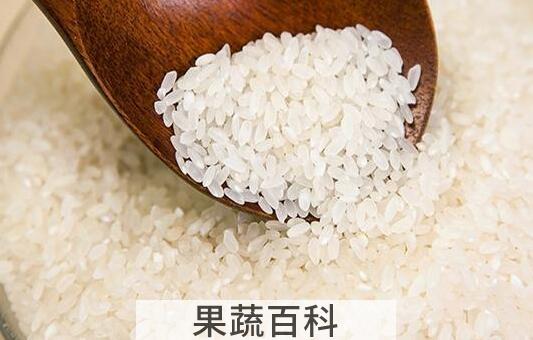 粳米是什么米 吃粳米的好处