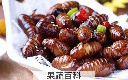 女性吃蚕蛹好处与坏处